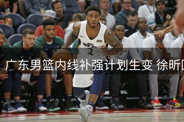 广东男篮内线补强计划生变 徐昕回归受阻内幕曝光