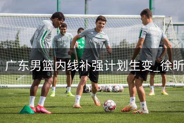广东男篮内线补强计划生变 徐昕回归受阻内幕曝光