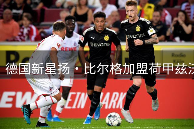德国新星扬·比尔格加盟荷甲兹沃勒