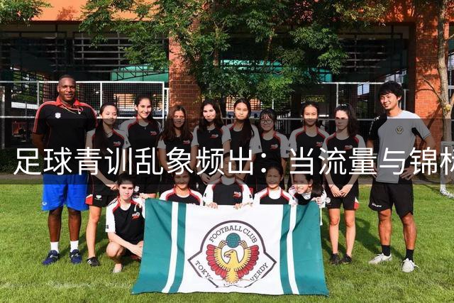足球青训乱象频出：当流量与锦标主义侵蚀少年绿茵梦